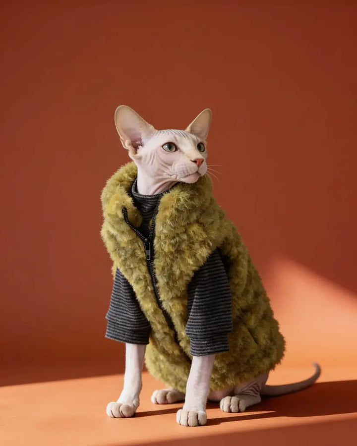 Sphynx cat wearing a thick olive green polar fleece winter coat with zipper