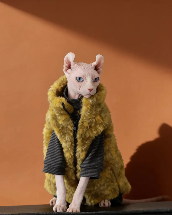 Sphynx cat wearing a thick olive green polar fleece winter coat with zipper