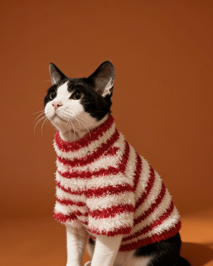 Sphynx cat wearing a soft cloud fleece turtleneck sweater with long sleeves for warm and comfortable winter everyday wear.