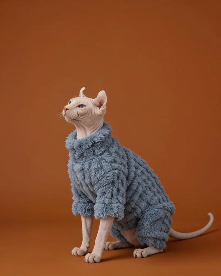 A hairless cat wearing a textured, fuzzy light blue pet onesie.