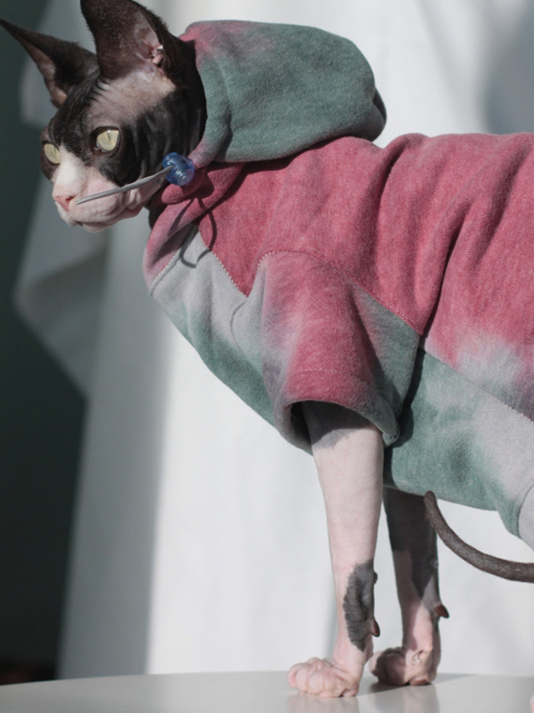 Tie Dye Sphynx Cat Hoodies