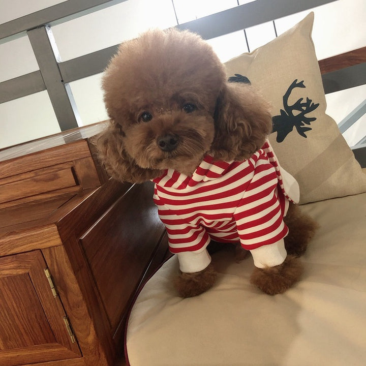 Striped Bunny Ear Pet Owner Matching Hoodie