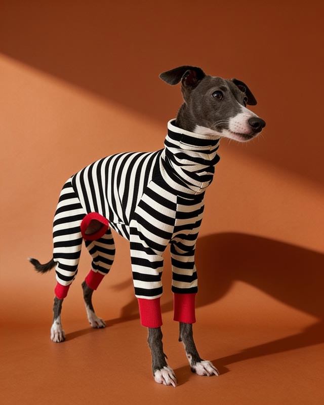 striped-cotton-onesies-dog-four-legged-pet-clothes-for-italian-greyhounds-whippets-bedlington-sighthounds-pet-gifts - CityBear