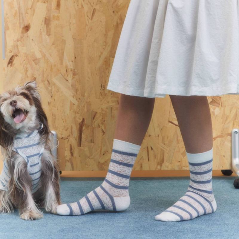 Laced Stripy Matching Pet Tee and Owner Socks