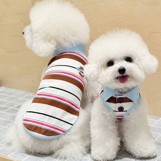 Two small dogs wearing striped shirts on a neutral background