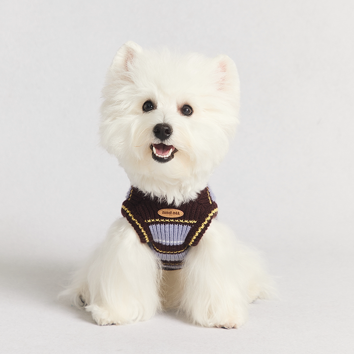 Rugby Stripe Knit Pet Human Matching Sweater with Zipper