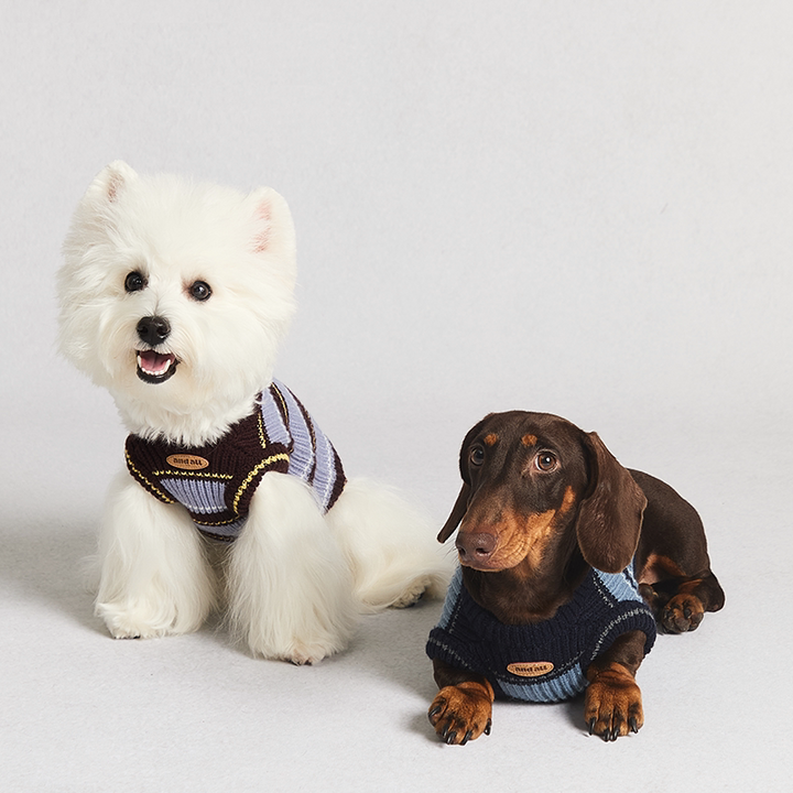 Rugby Stripe Knit Pet Human Matching Sweater with Zipper