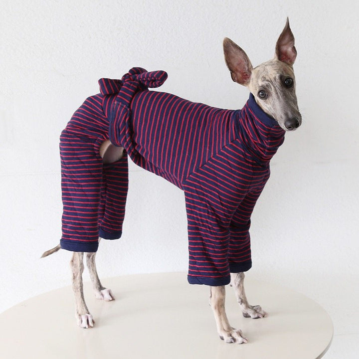 Mono elegante de rayas para perro de cuatro patas con lazo