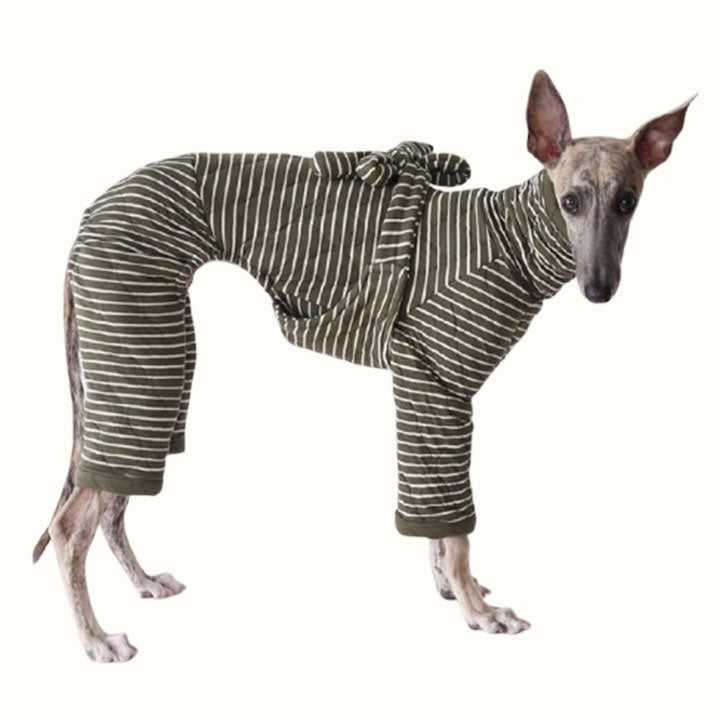 Mono elegante de rayas para perro de cuatro patas con lazo