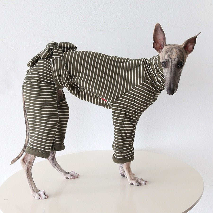 Mono elegante de rayas para perro de cuatro patas con lazo