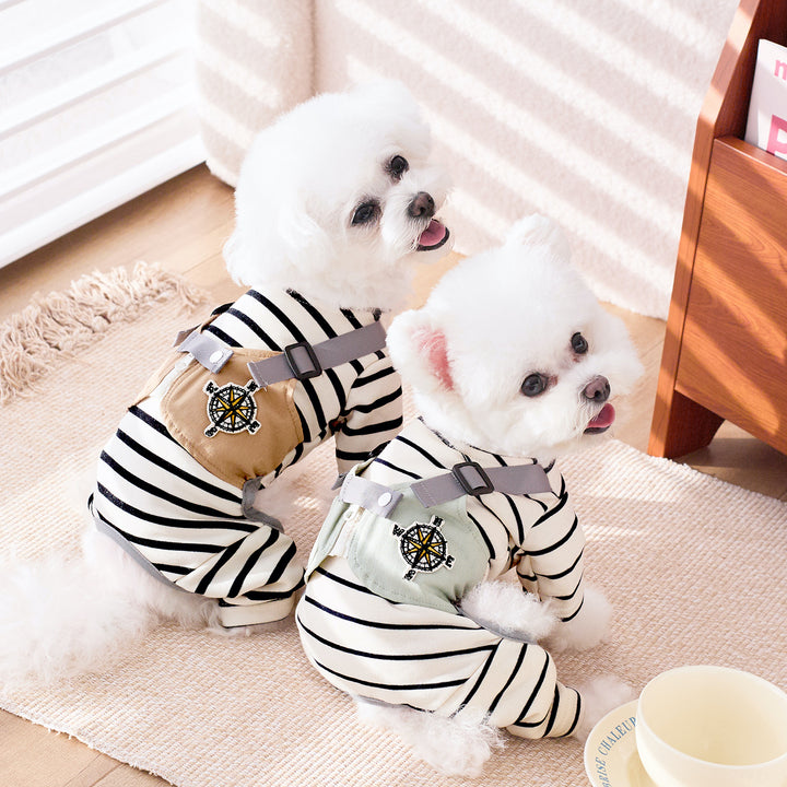 Two small dogs wearing striped outfits with compass designs on a light-colored floor.