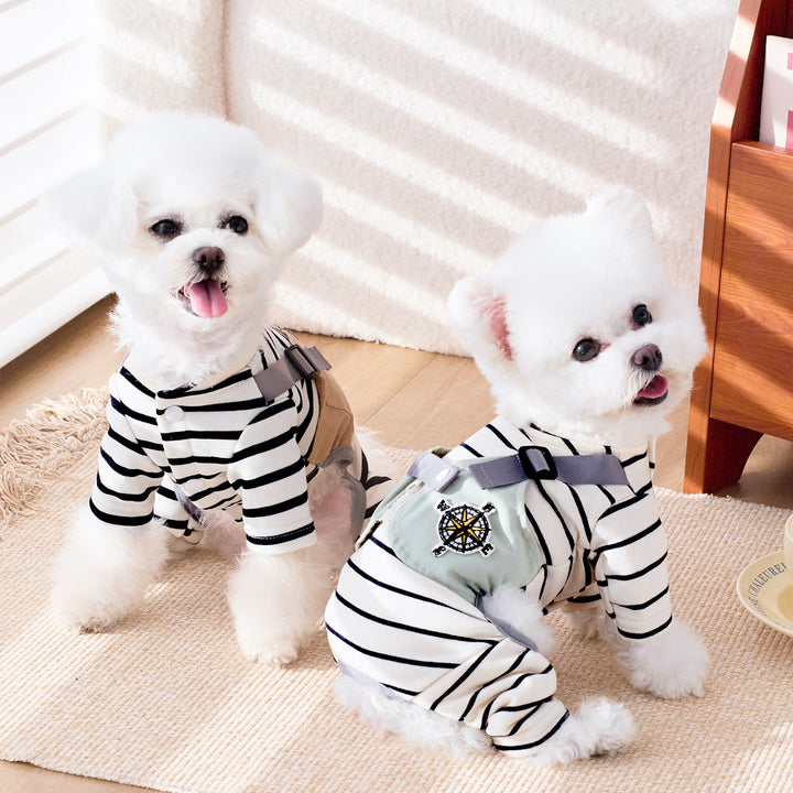 Two small dogs wearing striped outfits on a carpeted floor.
