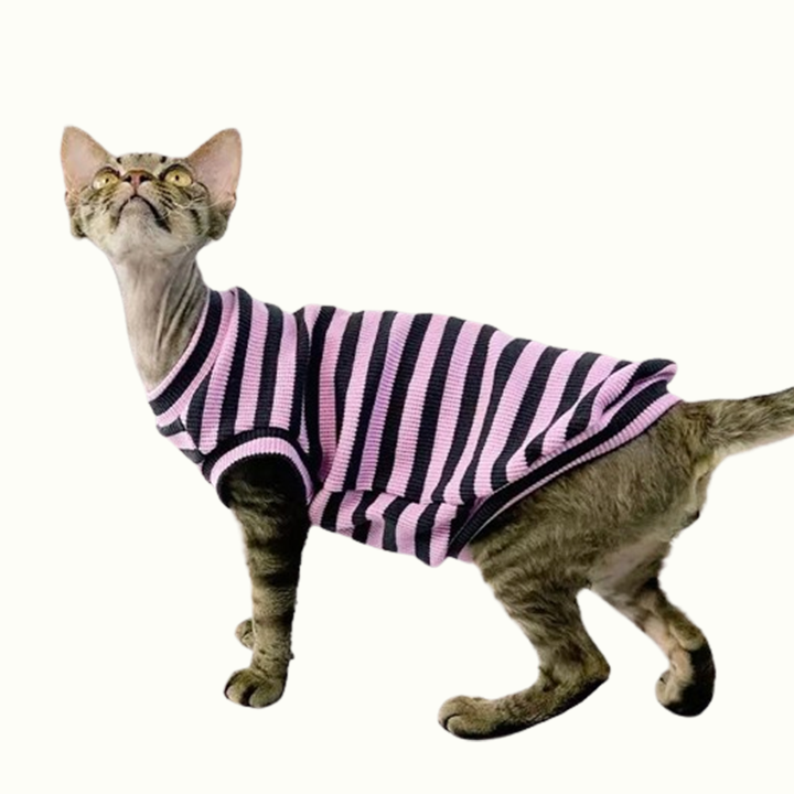 Stripes Sphynx Cat Tank Tops