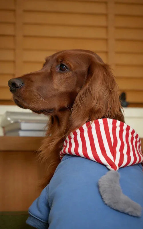 Fluffy Tail Pom Pet and Owner Matching Hoodie