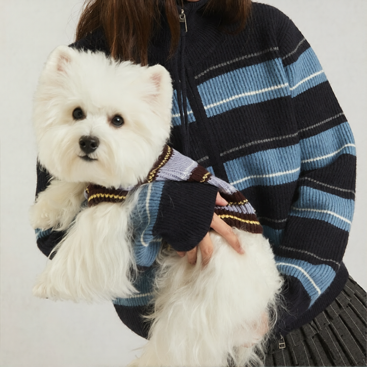 小恶魔宠物潮牌MOPETNew York Yankees perro humano a juego camisetas