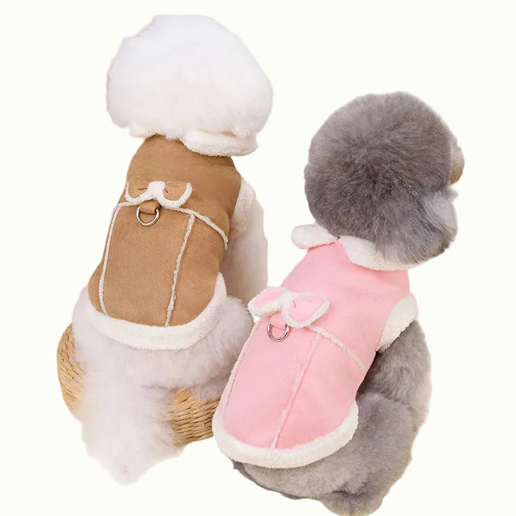 Two small dogs wearing winter clothing on a light-colored surface.