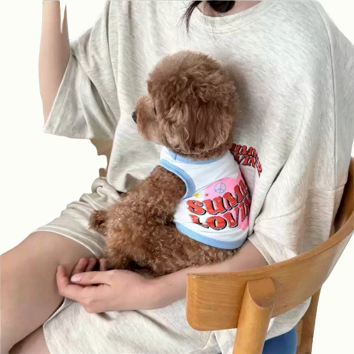 Person holding a small brown dog wearing a 'Summer Lovin' shirt on a white background