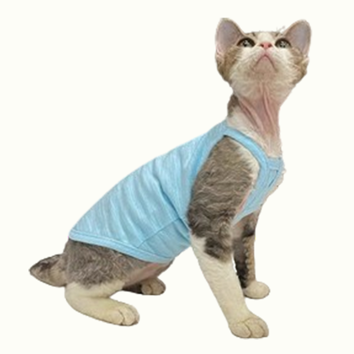 Baby Soft Cotton Sphynx Camisole Tops