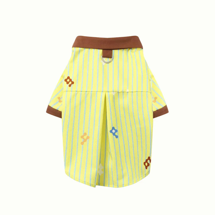 Mod Dot Pet and Owner Matching Pajamas