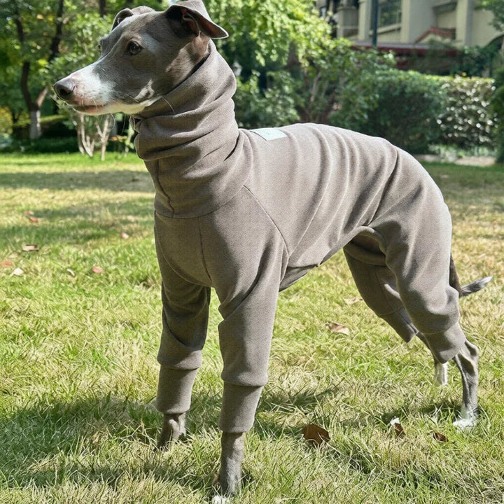 Semi Elastic Soft Warm Full-Body Onesie for Sighthounds