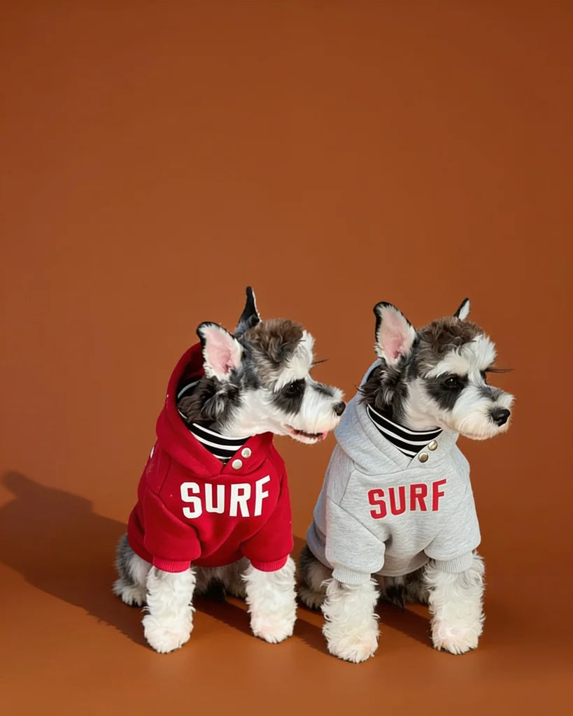 small gray and white dogs wearing a dog hoodie with &