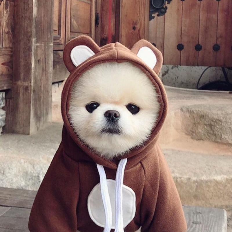 Cute Bear Pet Sweatshirt Hoodie