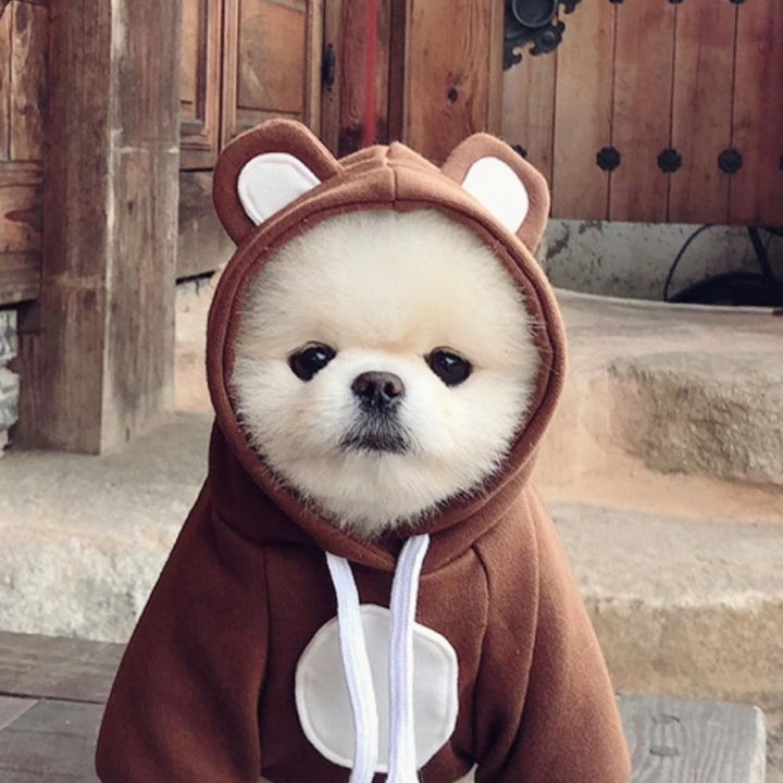 Cute Bear Pet Sweatshirt Hoodie