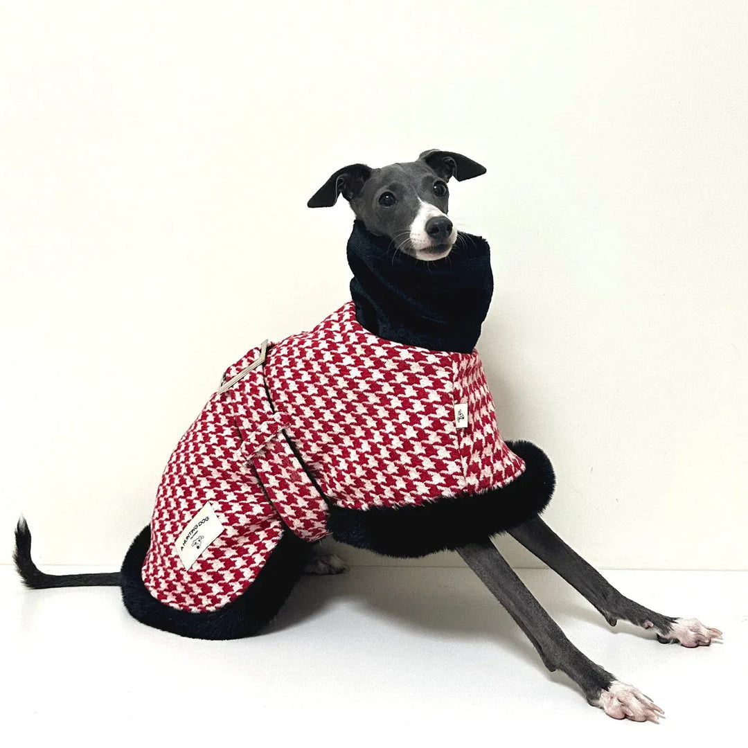 Houndstooth Dog Coat for Italian Greyhounds &amp; Whippets CityBear