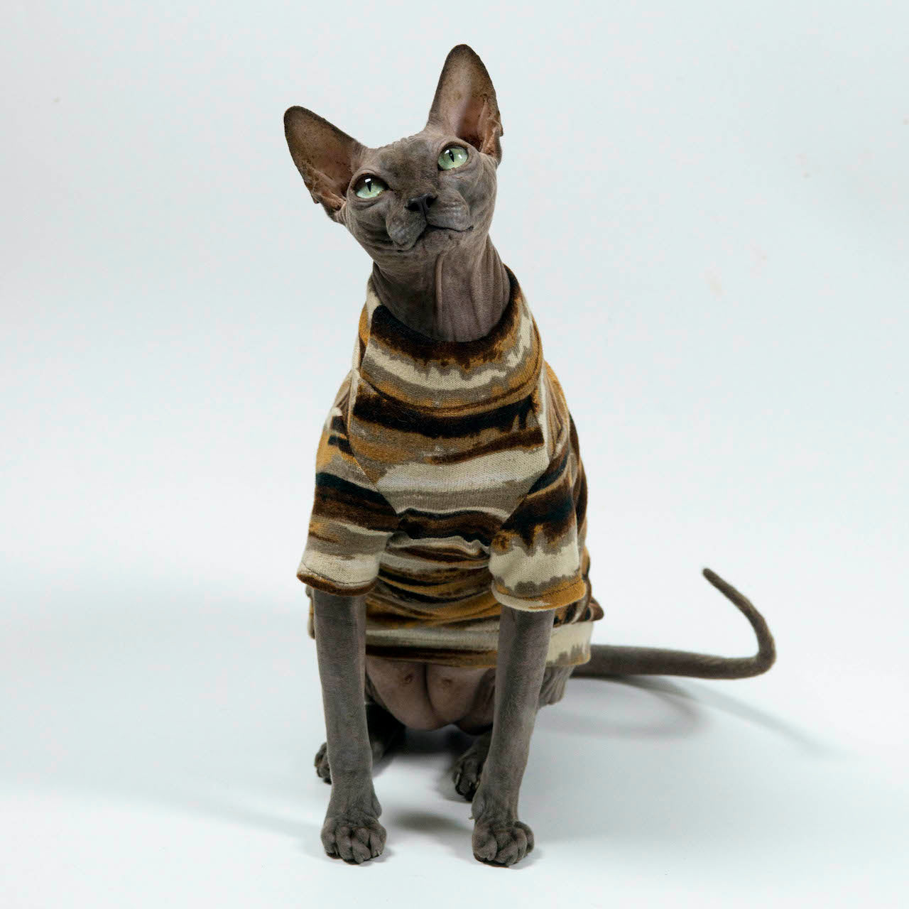 Hypoallergenic Designer Sphynx Cat Tee Shirt PurpleGray XS