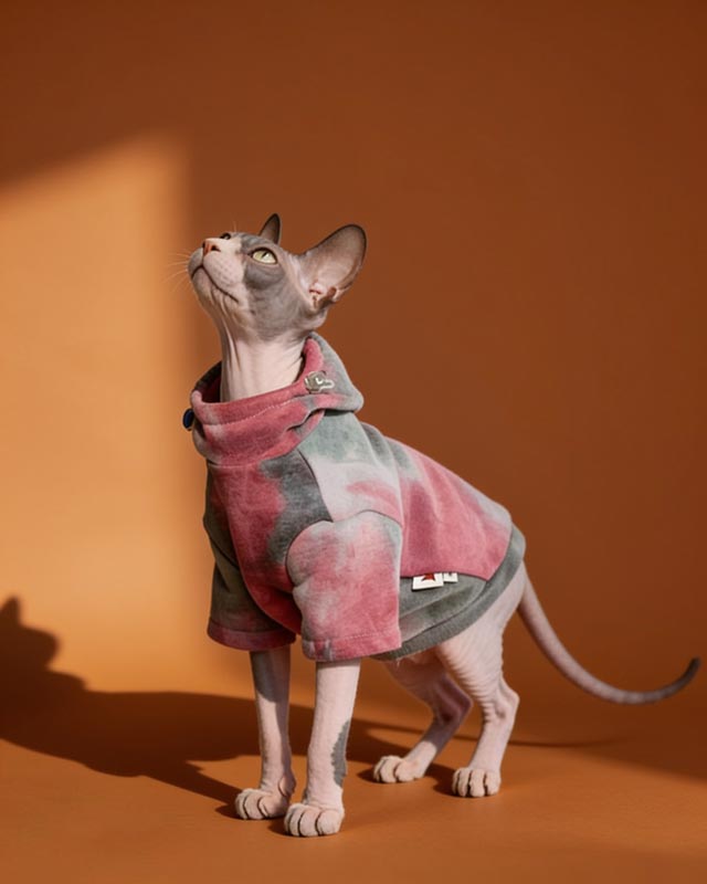 Tie Dye Sphynx Cat Hoodies CityBear