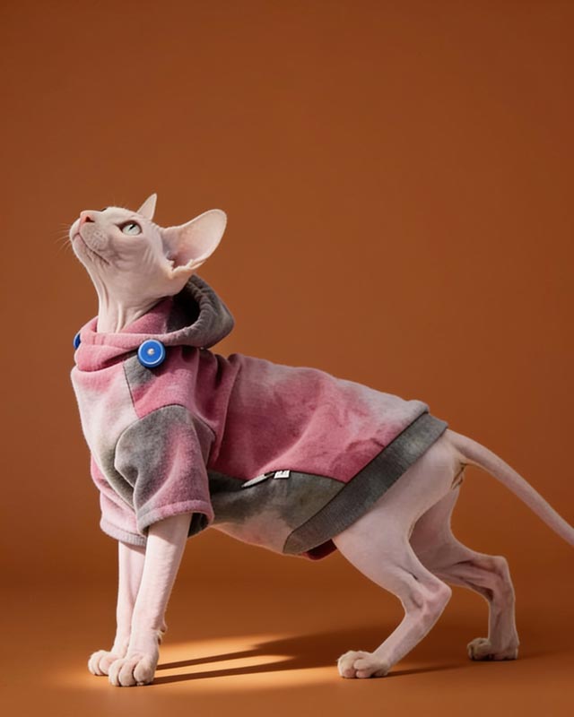 Tie Dye Sphynx Cat Hoodies CityBear