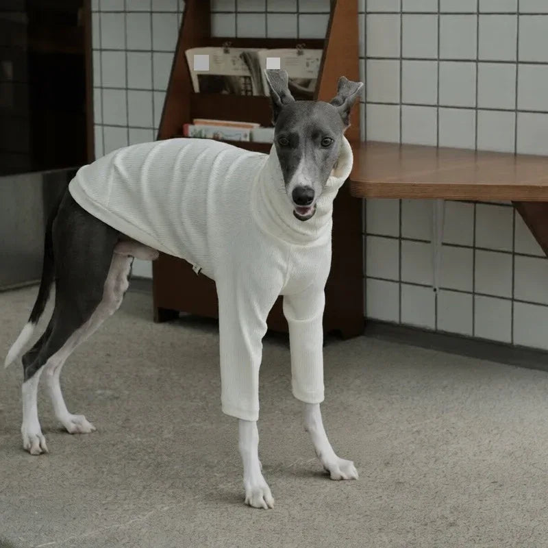 Highneck Slim Fit Base Sweater for Italian Greyhound and Whippet