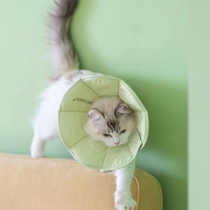 TouchDog Pet Recovery eCollar