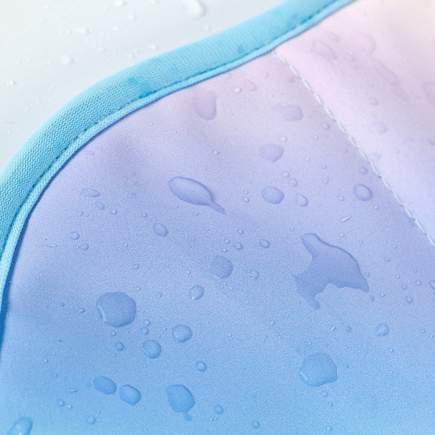 TouchDog Ombre Pet Recovery eCollar