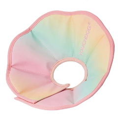 TouchDog Ombre Pet Recovery eCollar