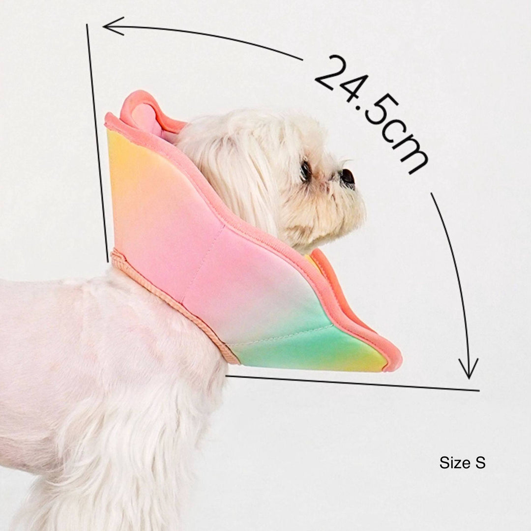 TouchDog Ombre Pet Recovery eCollar