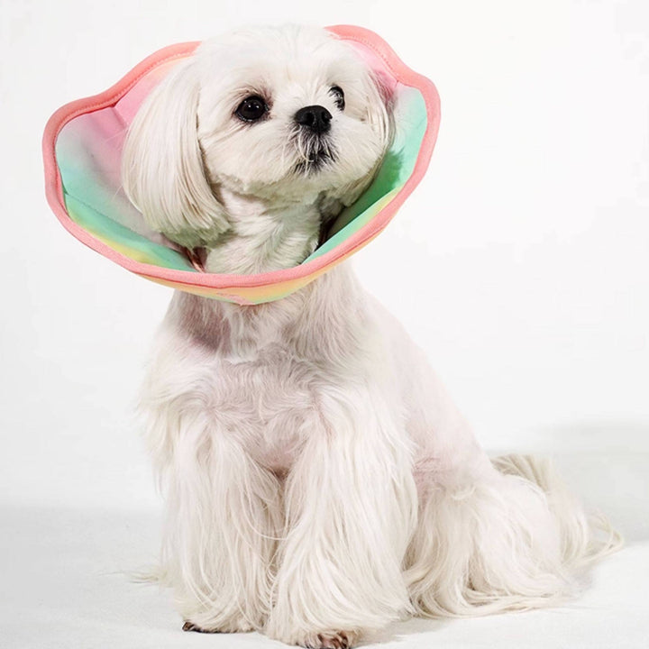 TouchDog Ombre Pet Recovery eCollar