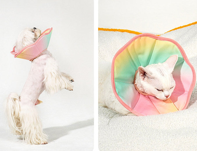 TouchDog Ombre Pet Recovery eCollar