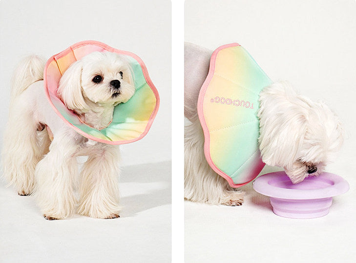 TouchDog Ombre Pet Recovery eCollar