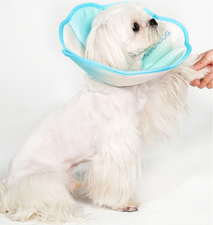 TouchDog Ombre Pet Recovery eCollar