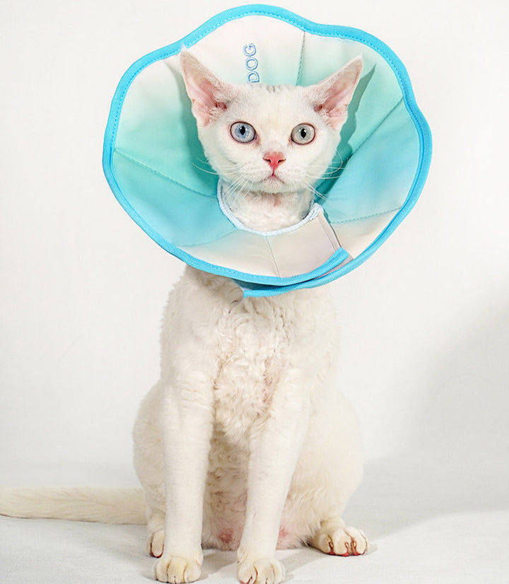 TouchDog Ombre Pet Recovery eCollar