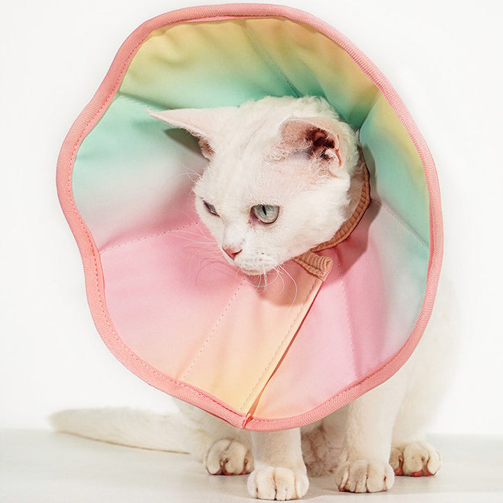 TouchDog Ombre Pet Recovery eCollar