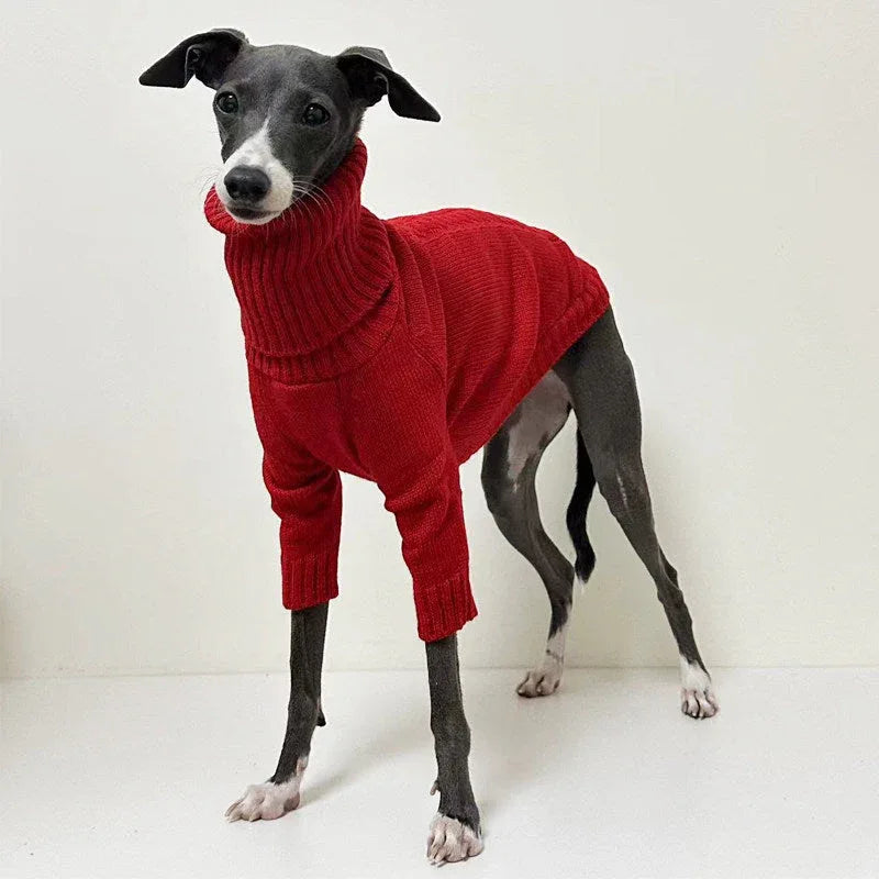 Chic Red Turtleneck Knitted Sweater for Italian Greyhound and Whippet CityBear