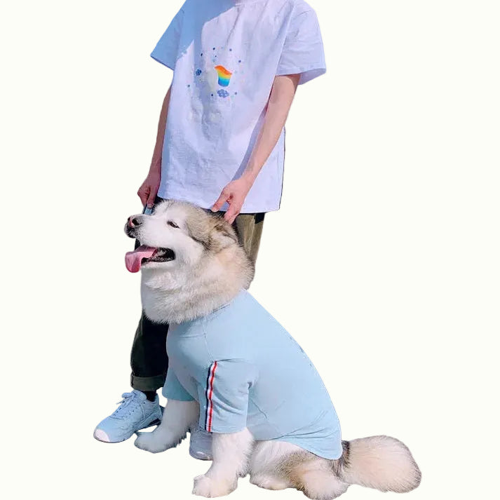 Unicorns Are Real Pet Owner Matching T-Shirt &amp; Dress