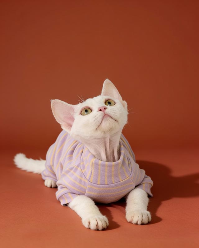 Velvet Striped Sphynx Cat Onesies Pajamas CityBear