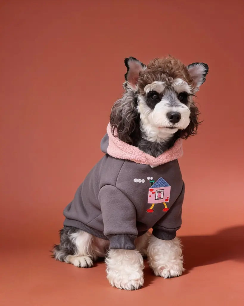 A small gray and white dog wearing a gray hoodie with a pink hood and a cartoon house