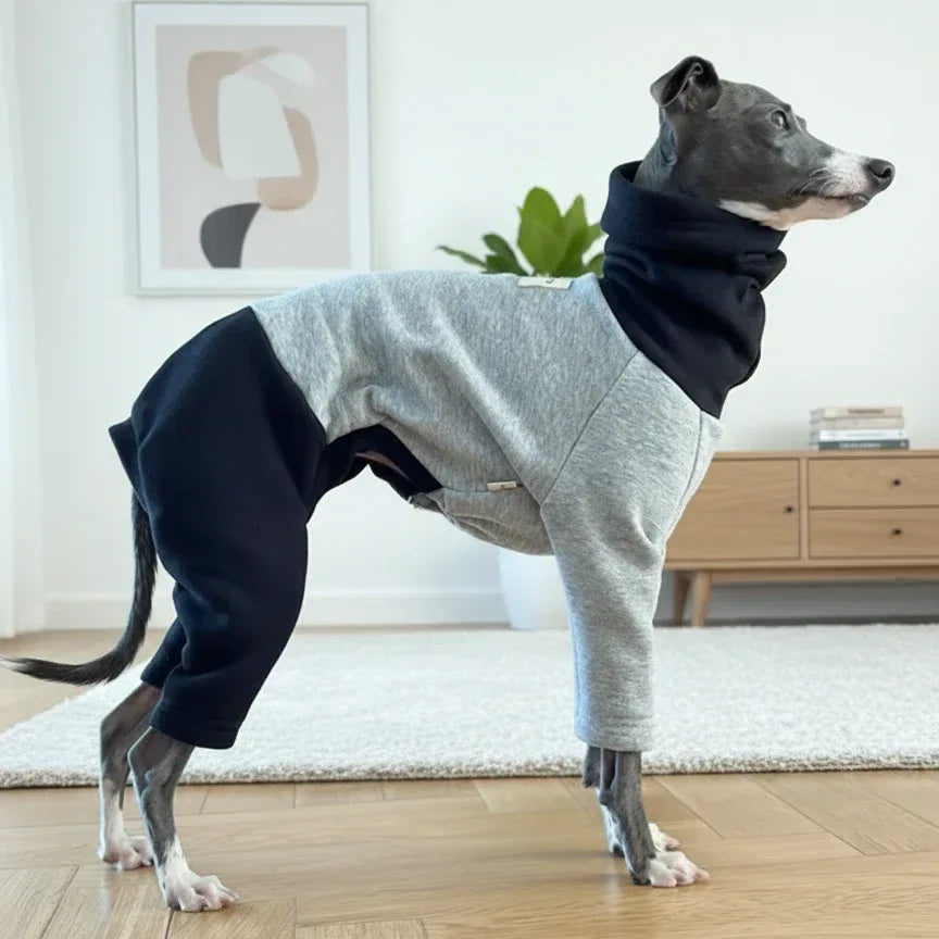 Color Block Fleece Lined Onesies for Italian Greyhound and Whippet