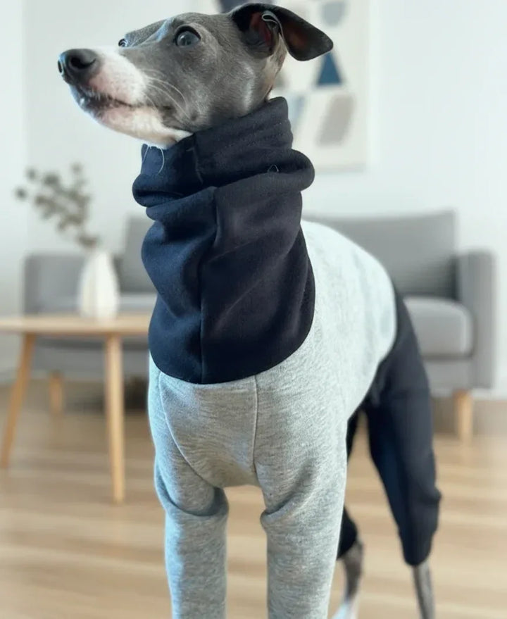 Color Block Fleece Lined Onesies for Italian Greyhound and Whippet