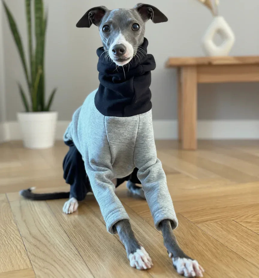 Color Block Fleece Lined Onesies for Italian Greyhound and Whippet