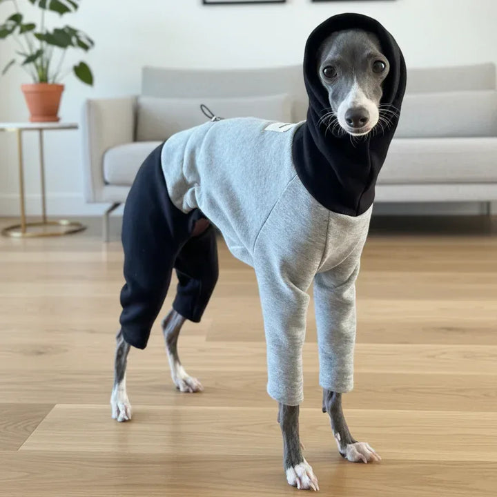 Color Block Fleece Lined Onesies for Italian Greyhound and Whippet